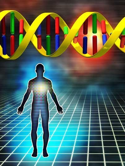DNA-Human-dreamstime_l_5782247-web