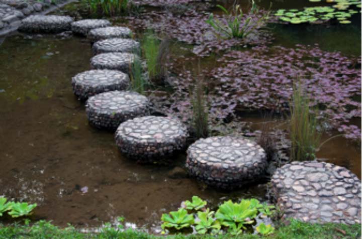 SteppingStones-Dreamstime-web