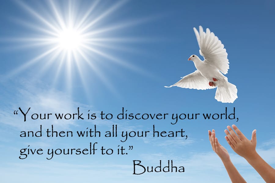 bird-and-buddha-quote