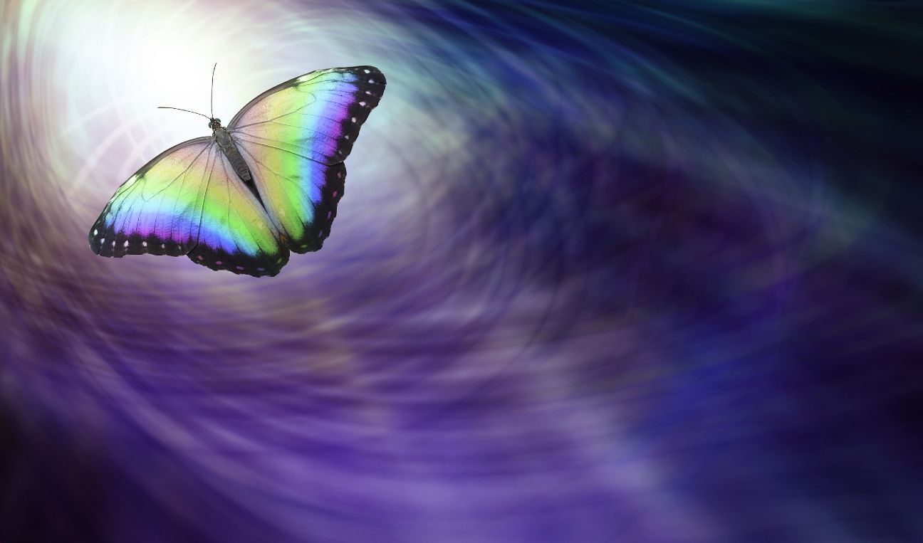 butterfly-transformation-born-again-dreamstime_m_96821580-web