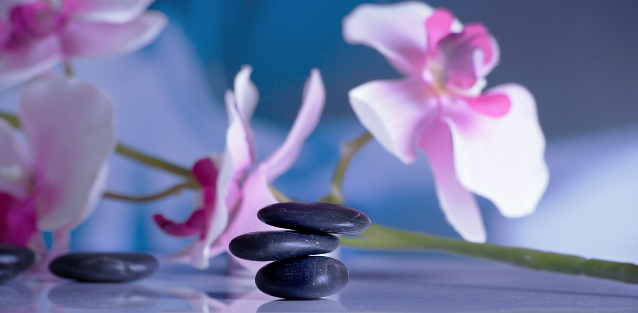 cairn-orchid-peace-meditation-Pixabay-599532_1280