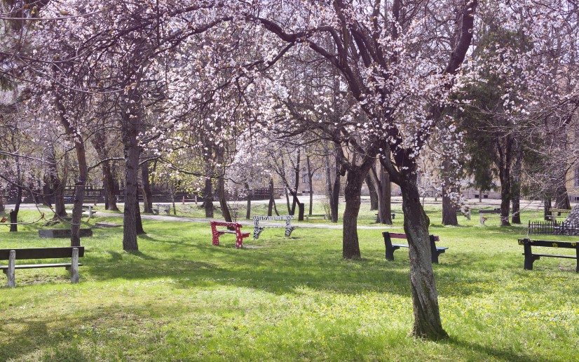 city-park-people-floweringTrees-dreamstime_m_58308211-web