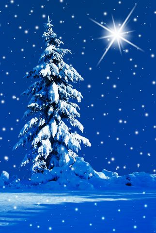Christmas-SilentNight-Tree-snow-dreamstime_xs_15982079
