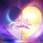 pink-lotus-enlightenment-heart-dreamstime_m_223113018-web