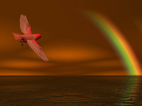 rainbow.dove.258219-web